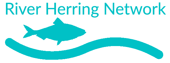 Welcome to the Massachusetts River Herring Network